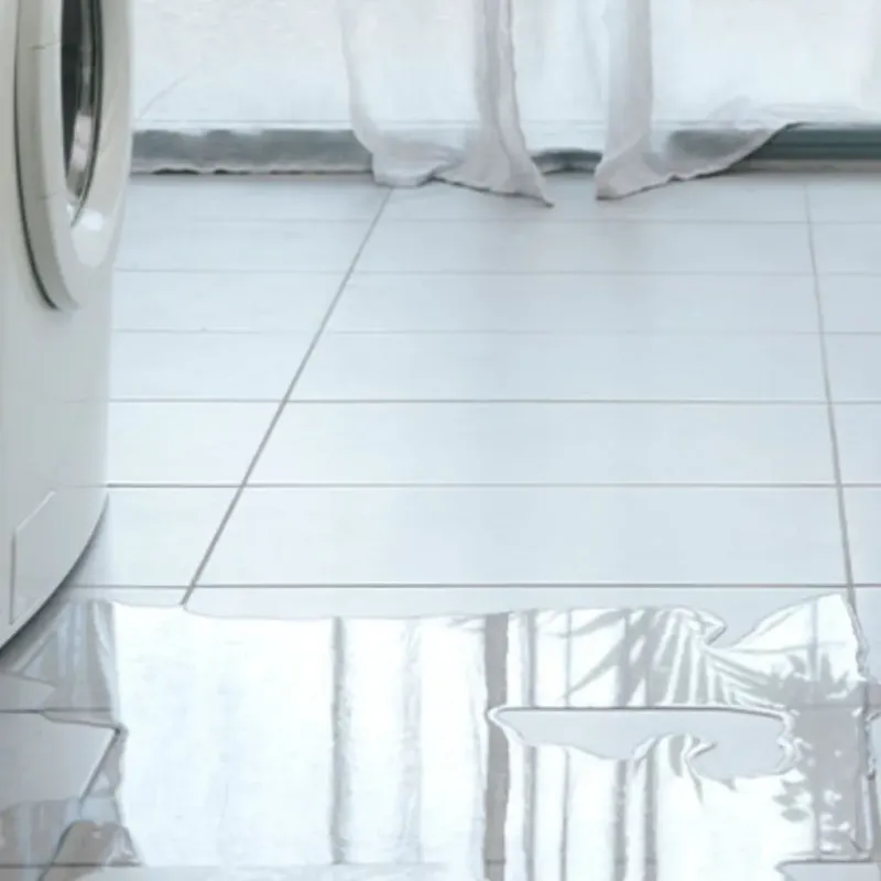 Appliance Leak Cleanup in Douglas County, KS