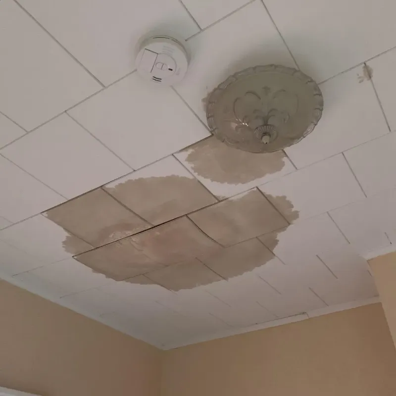 Ceiling Water Damage Repair in Douglas County, KS