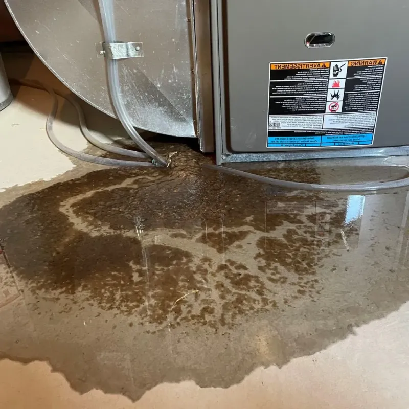 Pipe Burst and Leak Restoration in Douglas County, KS