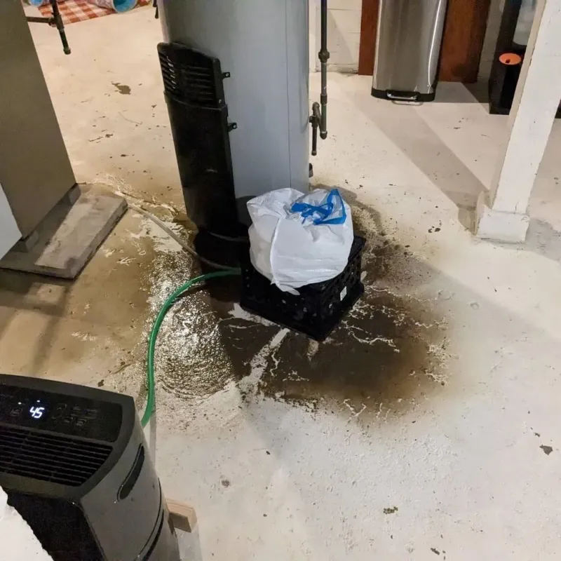 Sewage Backup Cleanup Service in Douglas County, KS